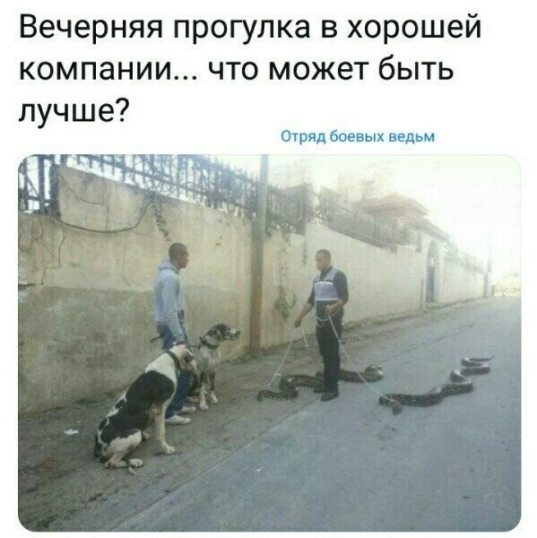 Картинки с надписями