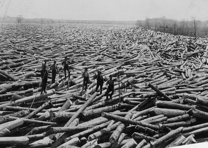 Лесорубы среди подготовленных к сплаву бревен, штат Нью-Йорк, 1919 год.