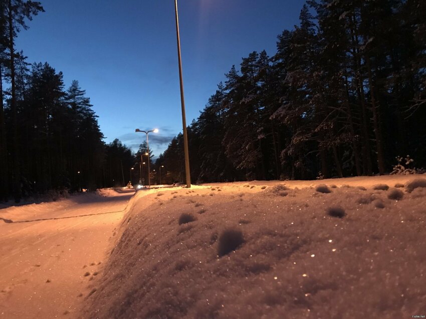 Воскресная прогулка