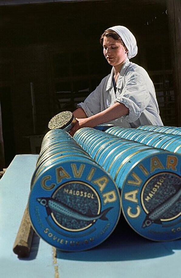Астраханский рыбоконсервный завод. Антонина Евстигнеева ‒ передовая работница. Анатолий Бочинин, 1961 год: