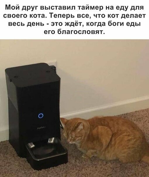 Прикольные и смешные картинки