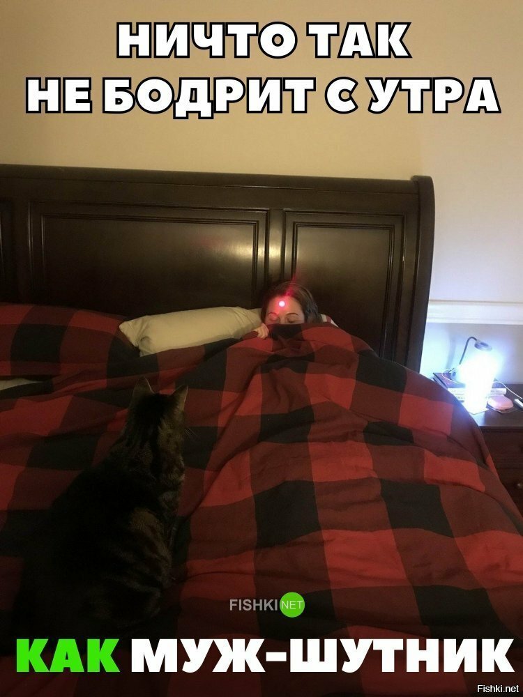 Лучше любого будильника