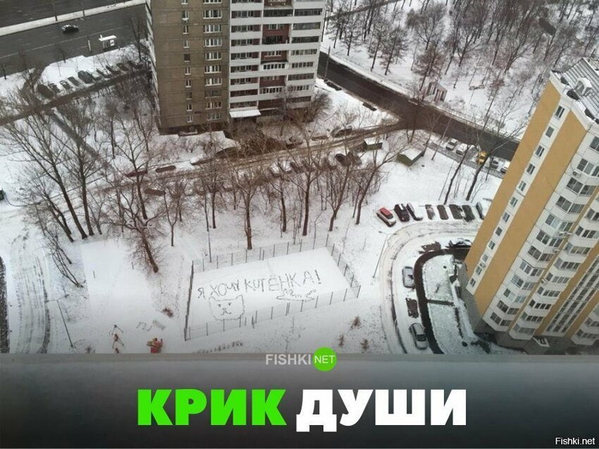 Крик души