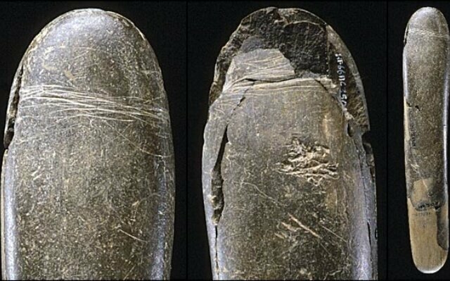 Самый древний фаллоимитатор, найденный в Германии
