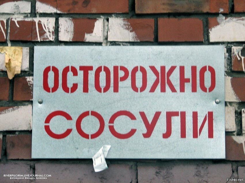 Российская Академия Наук (РАН) признала слово "сосули" нормой русской речи, п...