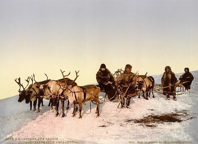 Поездка на оленях, Архангельск, Россия, 1890-е