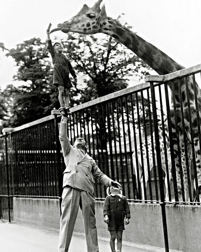 Известный американский силач Пол Ремос с сыном в зоопарке, 1930-е