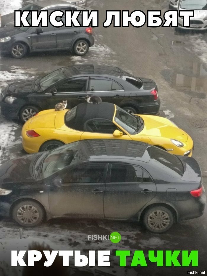 Крутым пацанам - крутые киски