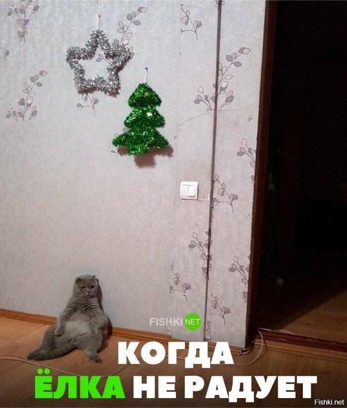 Котодепрессия