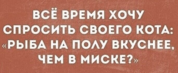 Прикольные и смешные картинки от Димон за 30 января 2019 16:14