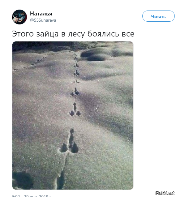 Солянка от 30.01.2019