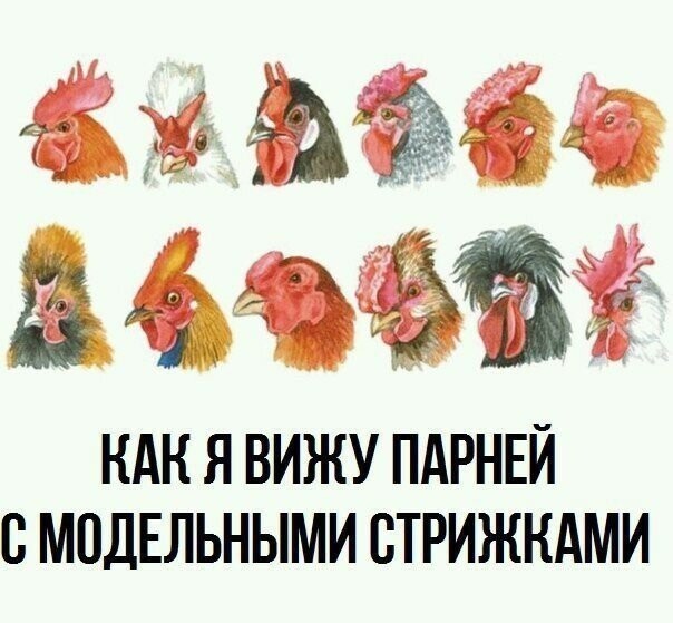 Картинки с надписями