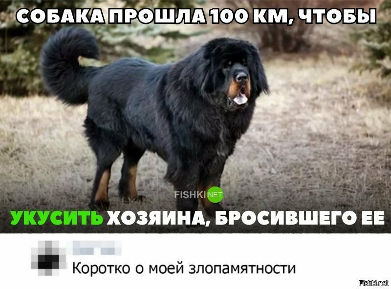 Злопамятный