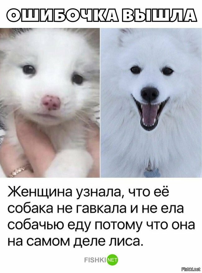 Неожиданно