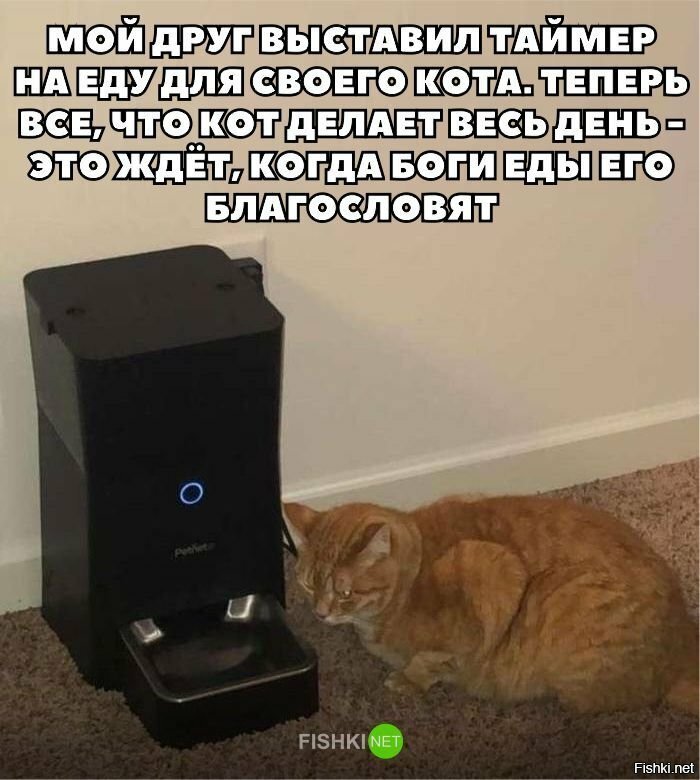 Всегда голодный