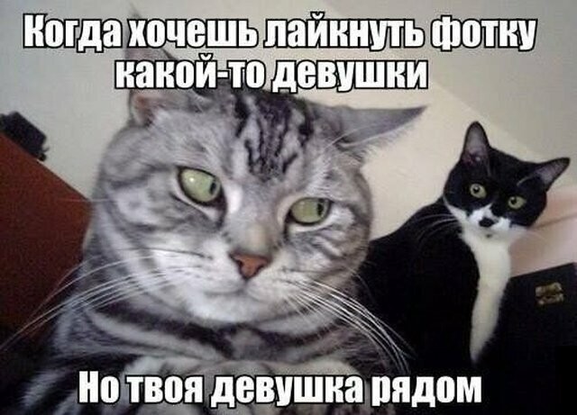Улибнитесь!