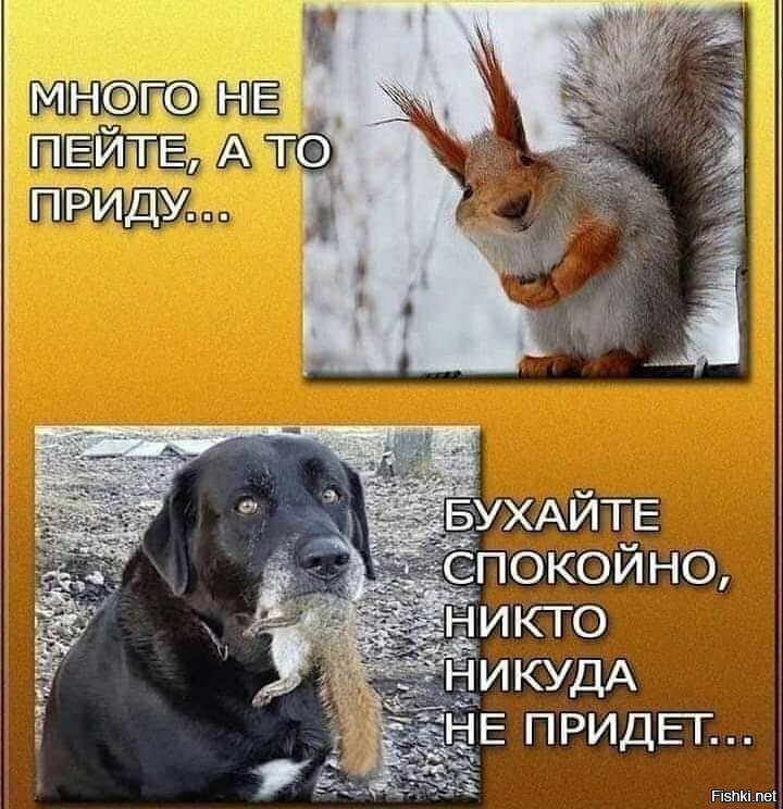 Это что такое?