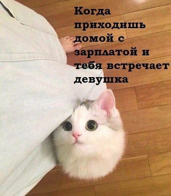 Ни о чём