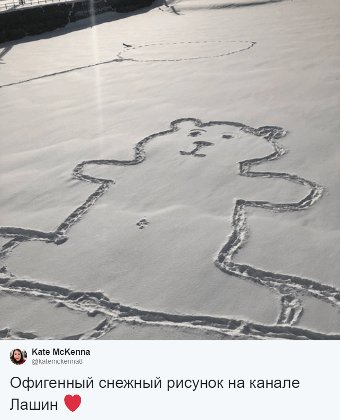 Журналистка Кейт Маккена нашла шедевр современного зимнего искусства и поделилась им в Твиттере