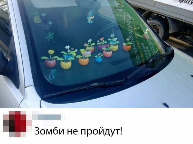 Прикольные и смешные картинки