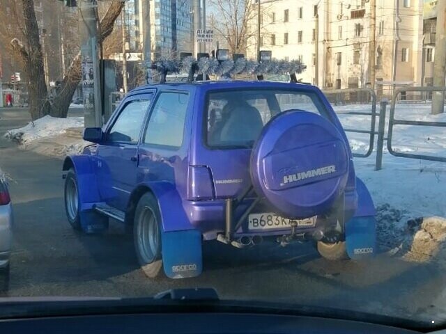 Автовсячина