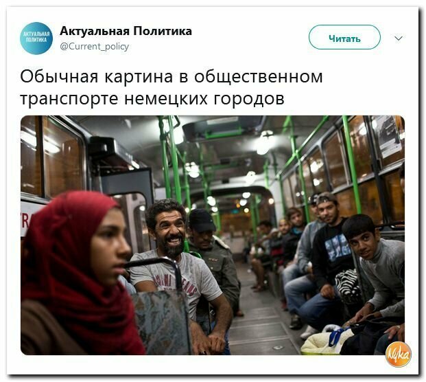 Политические вместо REXа
