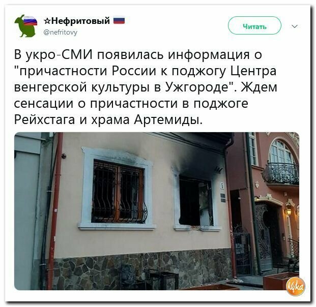 Политические вместо REXа