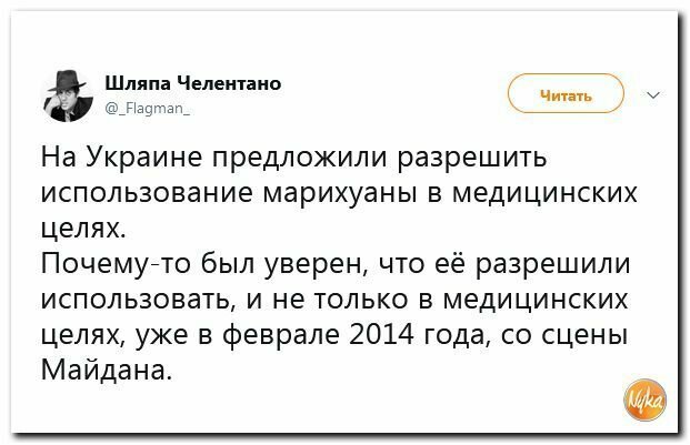 Политические вместо REXа