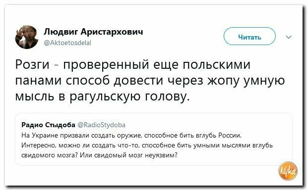 Политические вместо REXа