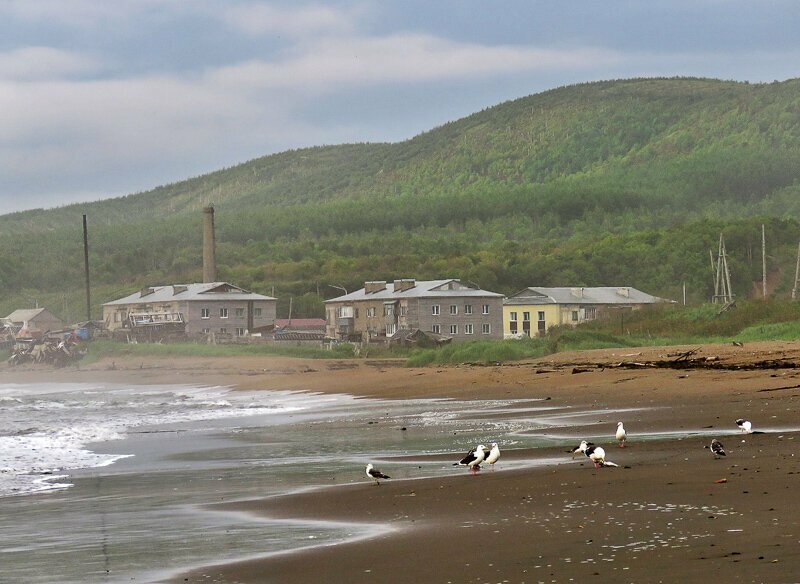 Сахалин в сетях, или Глубинка от моря до моря