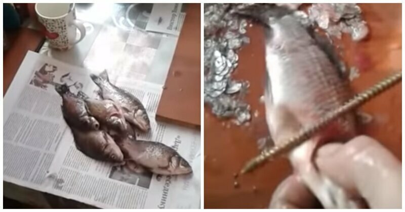 Изобретательный способ почистить рыбу от чешуи