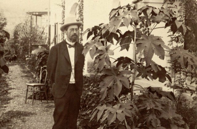 Чехов в своём ялтинском саду. 1901 год