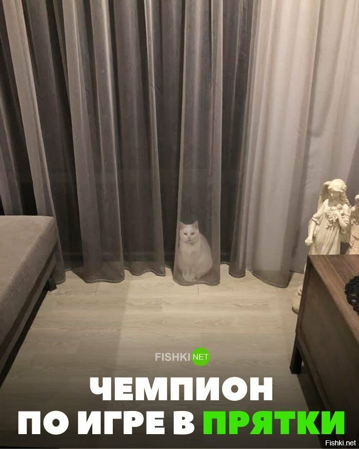 Чемпион по пряткам