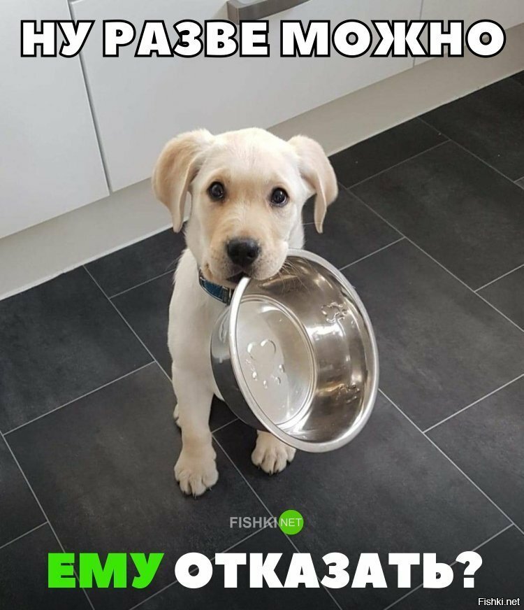 Как можно отказать?