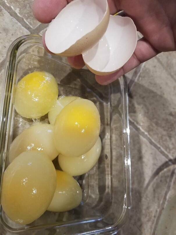 Где они хранили эти яйца?