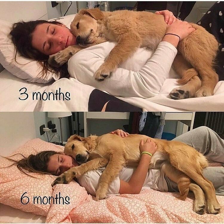 3 месяца и 6 месяцев