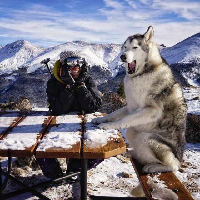 Зимние фотозарисовки