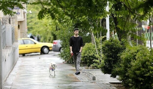 В Тегеране запретили гулять с собаками
