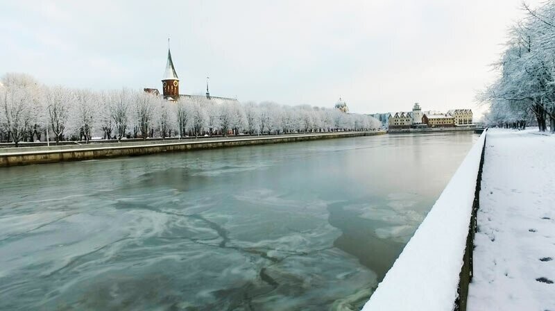 Переезд в Калининград из Сибири. Первые впечатления