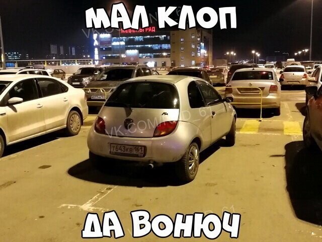 Автовсячина