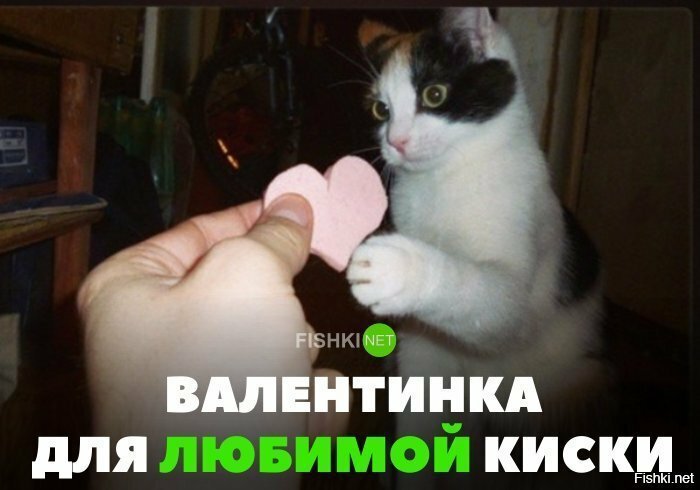 Валентинка для любимой киски