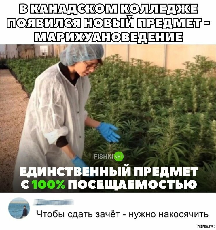 Чтоб сдать зачёт - нужно накосячить