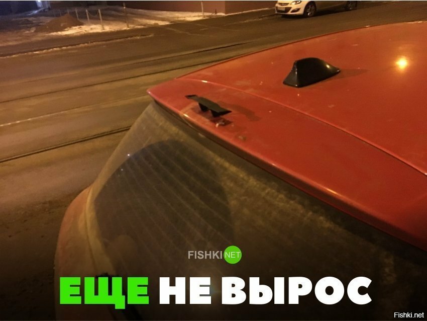 Ещё не вырос