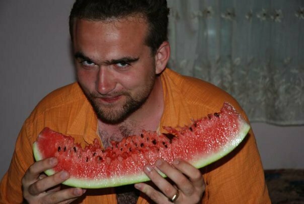 Конь в сенате и Бузова председатель правительства