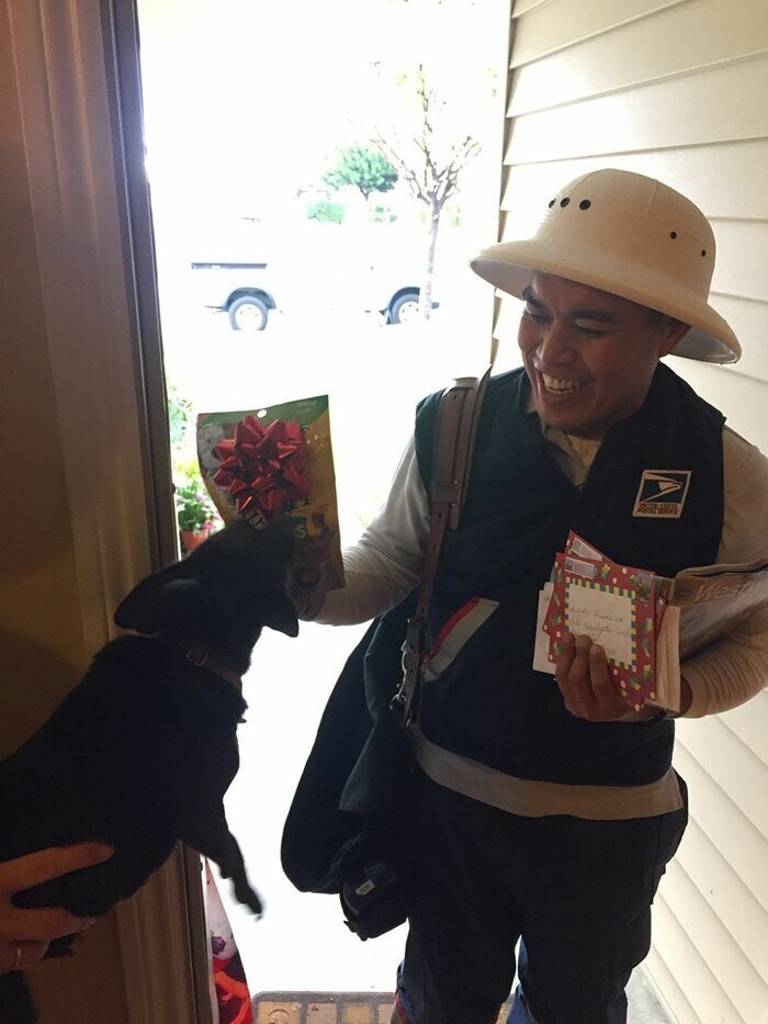 24. "Пончо, мой чихуахуа, ненавидит почтальона, поэтому он принес ему упаковку бекона на Рождество"
