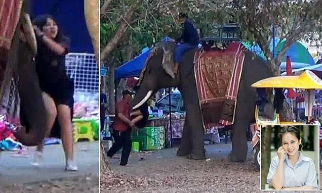 В Таиланде девочке-подростку чудом удалось уцелеть после того, как она стала жертвой рассвирепевшего слона