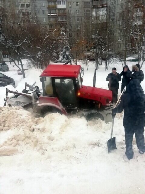 Автовсячина