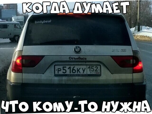 Автовсячина