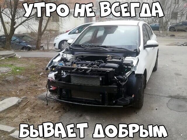 Автовсячина