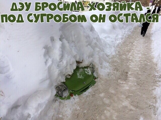 Автовсячина